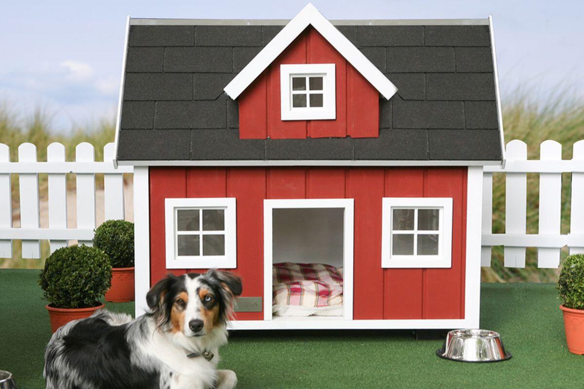 &#91;ASK&#93;&#91;SHARE&#93; DOG HOUSE DI SINI