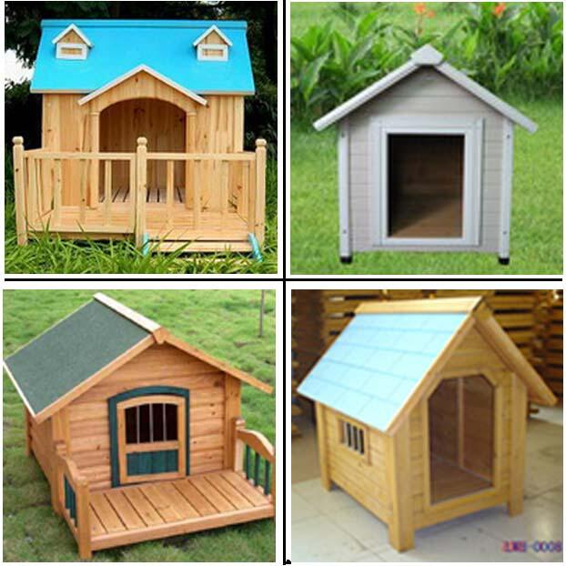 &#91;ASK&#93;&#91;SHARE&#93; DOG HOUSE DI SINI