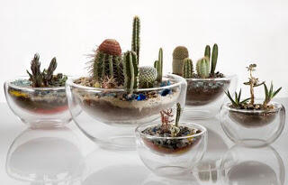 (Share) Terrarium