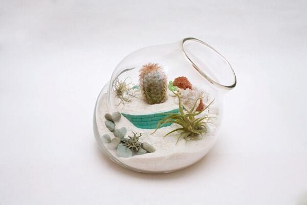 (Share) Terrarium