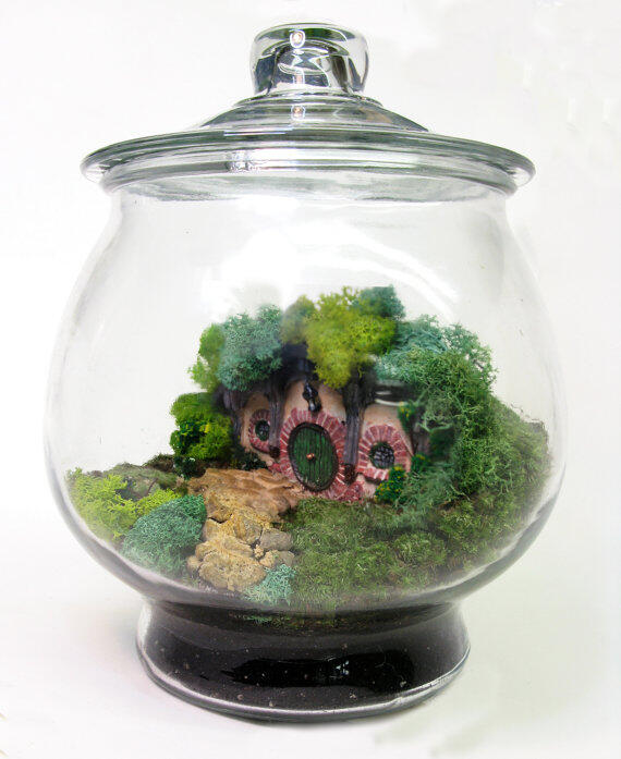 (Share) Terrarium