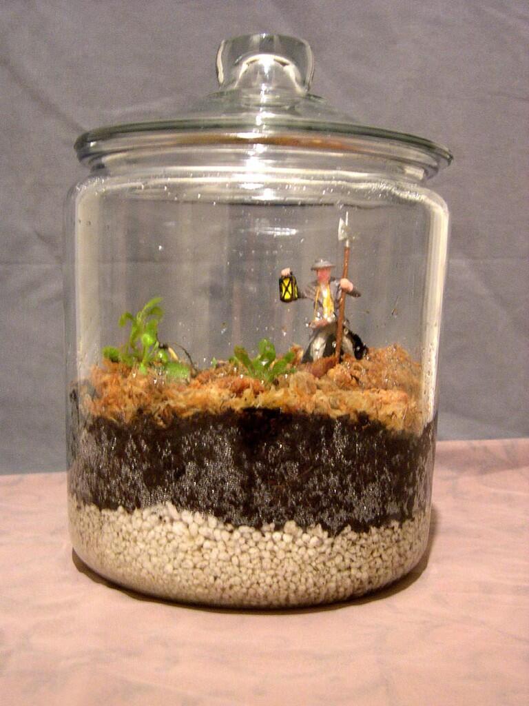 (Share) Terrarium