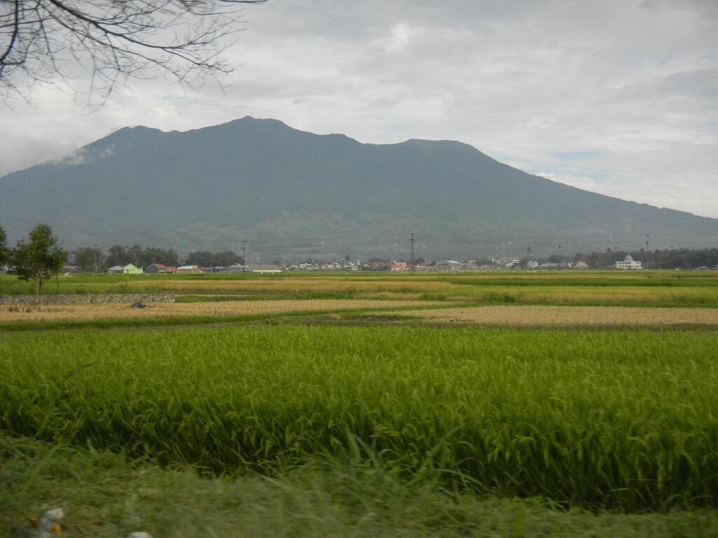 Pemandangan Alam kampung halaman gan...