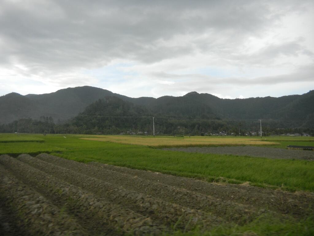Pemandangan Alam kampung halaman gan...