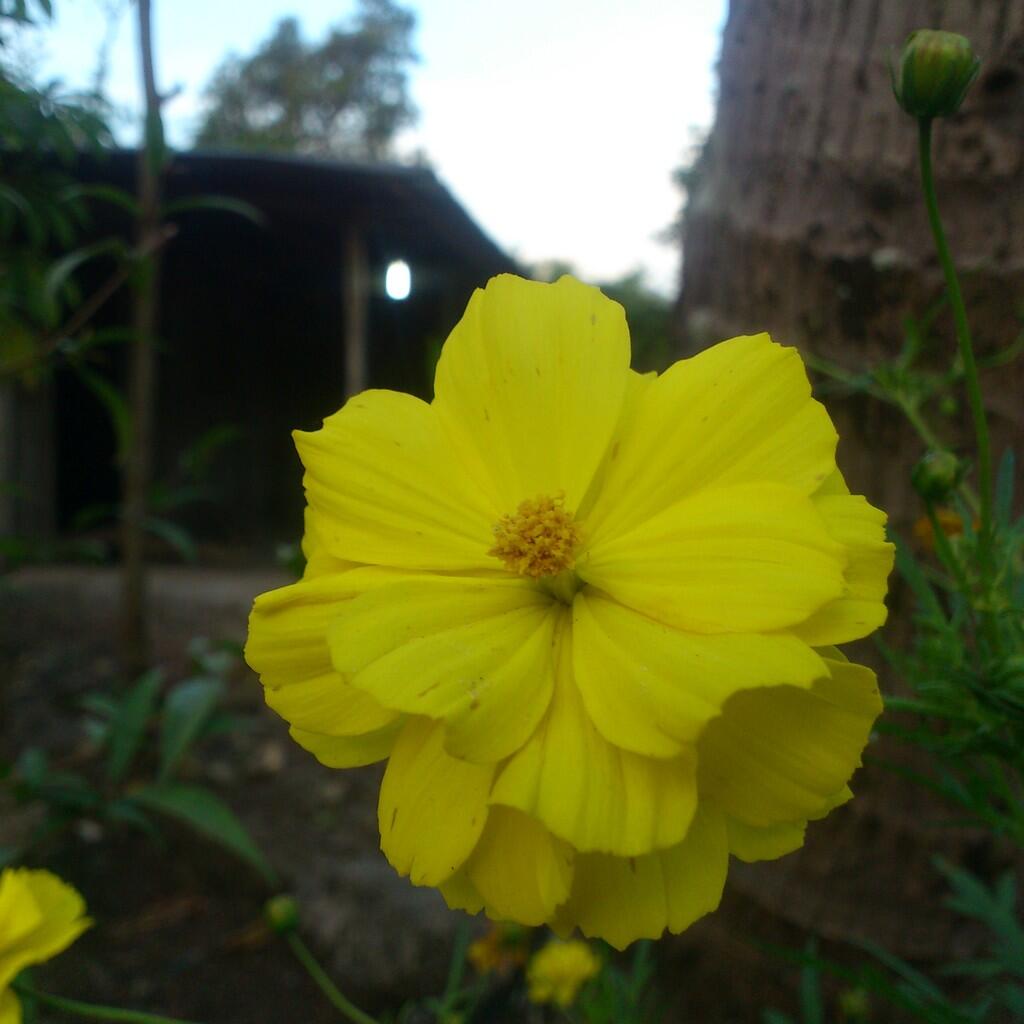 handphone photography