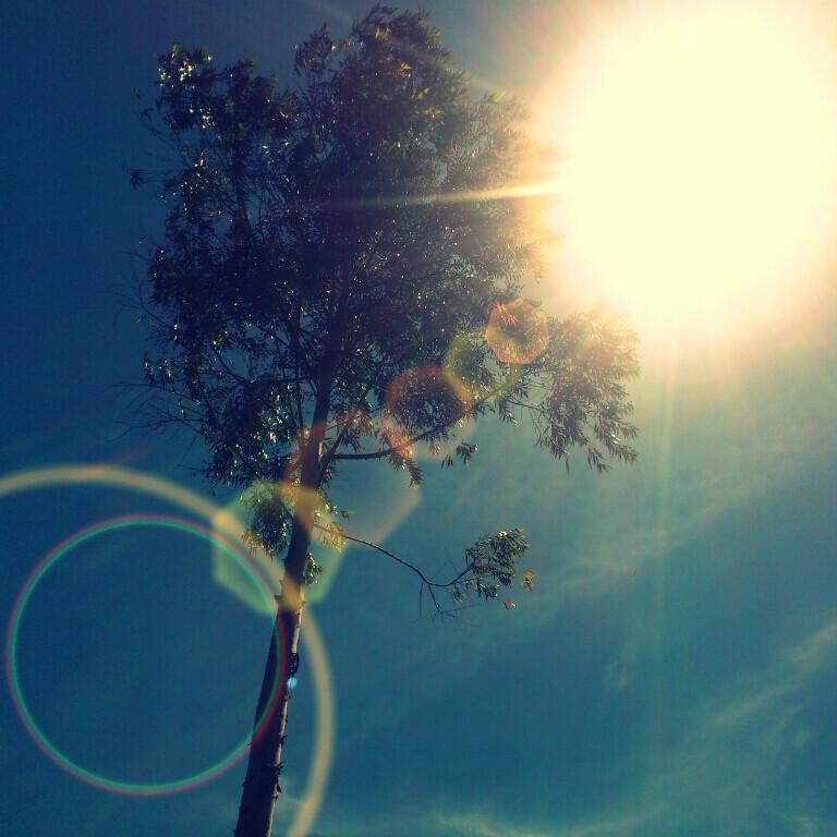 handphone photography