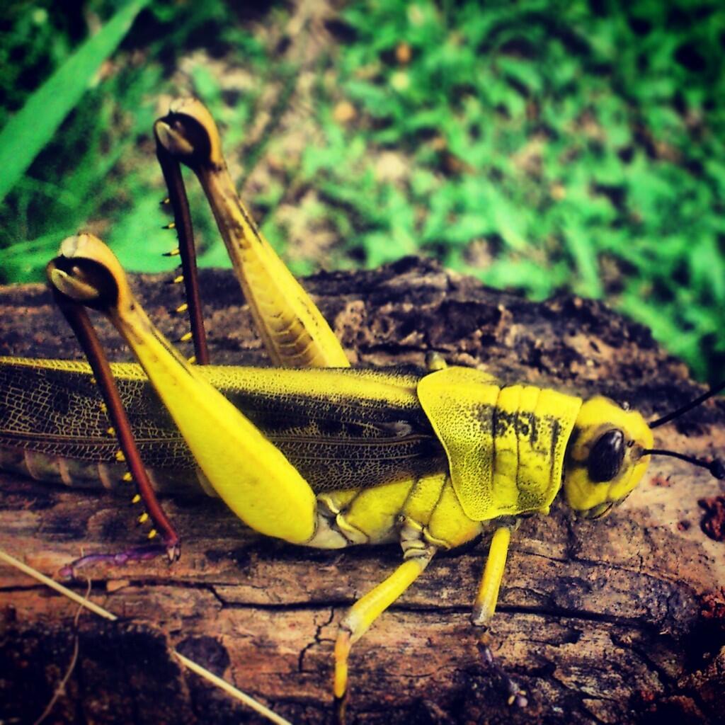 handphone photography