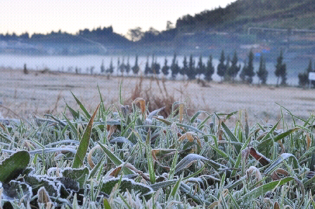 merasakan dinginnya dieng