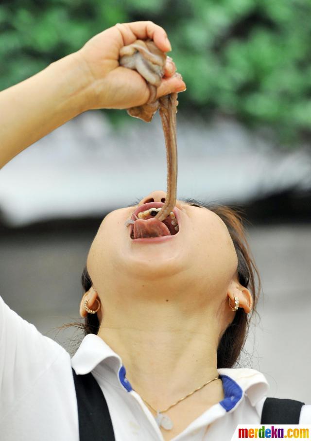 festival menyantap gurita hidup di Korea
