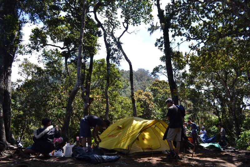 &#91;CATPER&#93; Parade Awan dan Sang Surya menyambut kami di Puncak Cikuray (2.821 Mdpl)