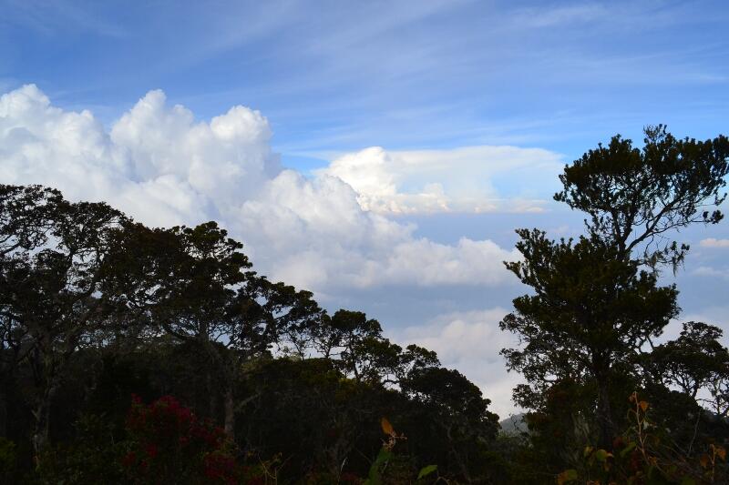 &#91;CATPER&#93; Parade Awan dan Sang Surya menyambut kami di Puncak Cikuray (2.821 Mdpl)