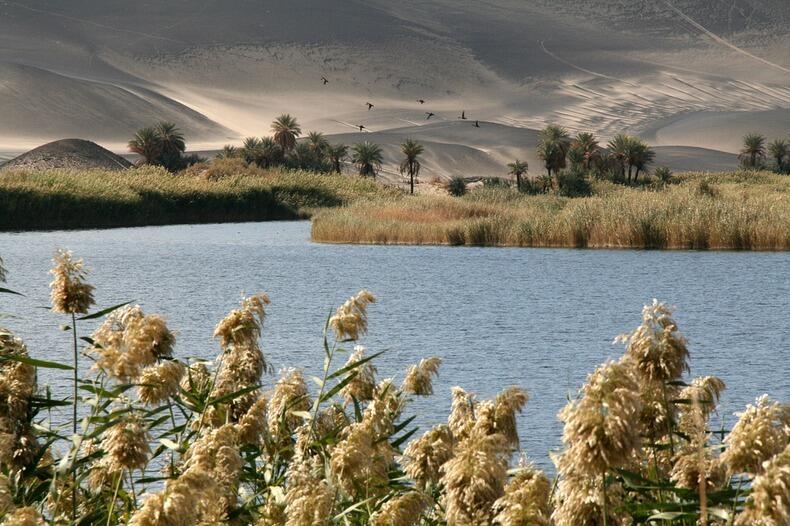 Waw an Namus, Oase Unik di Tengah Gurun Sahara