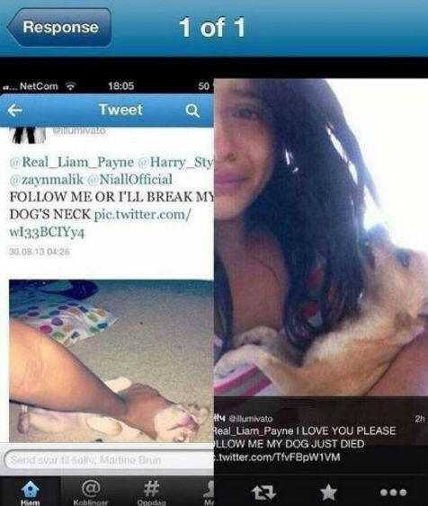 &#91;GILA GAN&#93; Tak Direspon One Direction di Twitter, Gadis Ini Bunuh Anjing!