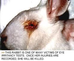 ~*ALL ABOUT ANIMAL TESTING*~