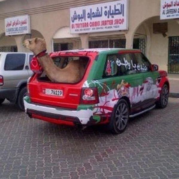 GOKIL NGAKAK coyy... hanya ada di DUBAI kaya gene neh ..