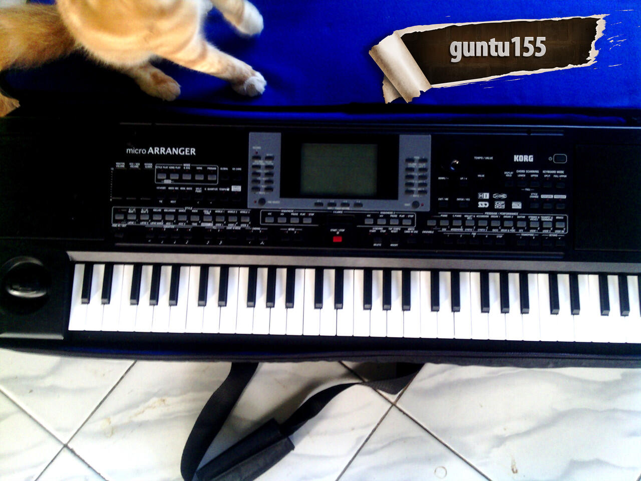KORG Micro Arranger Second Mulus