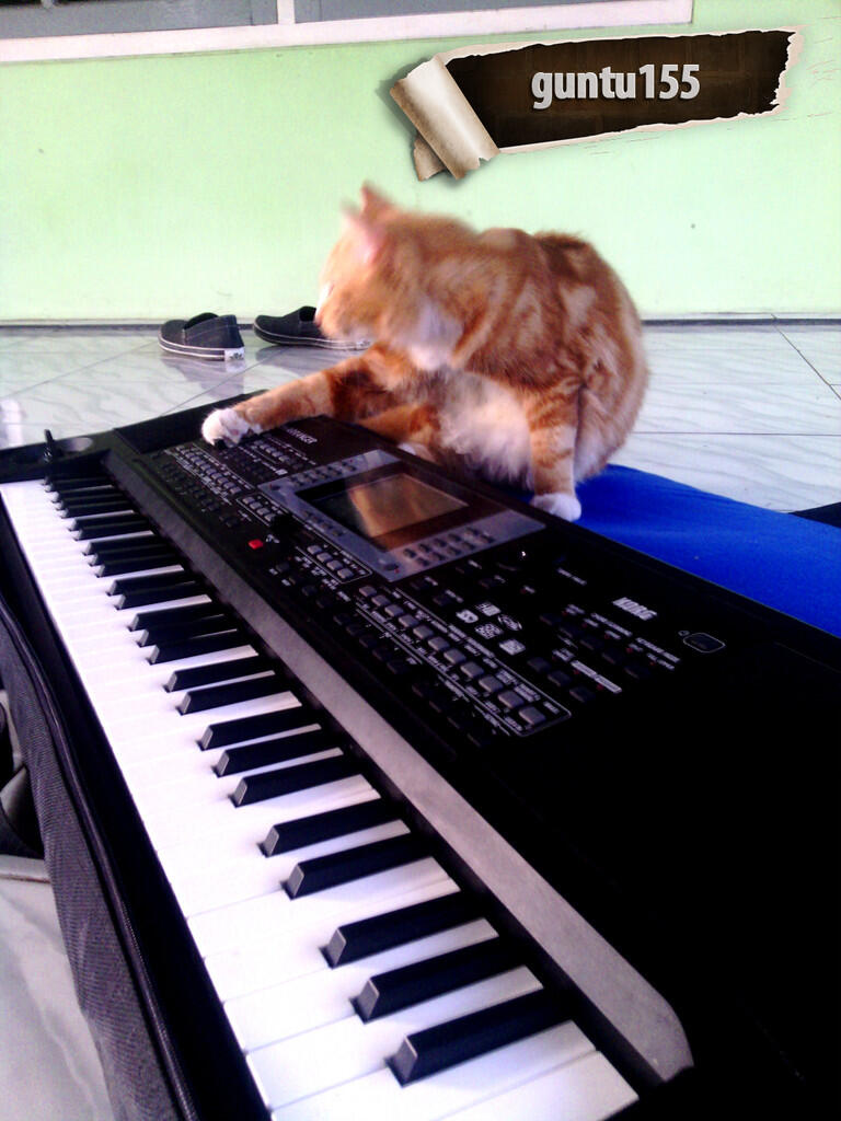 KORG Micro Arranger Second Mulus