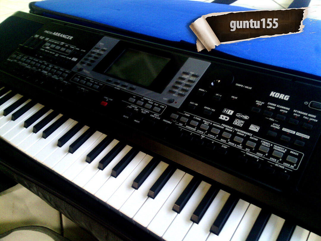 KORG Micro Arranger Second Mulus