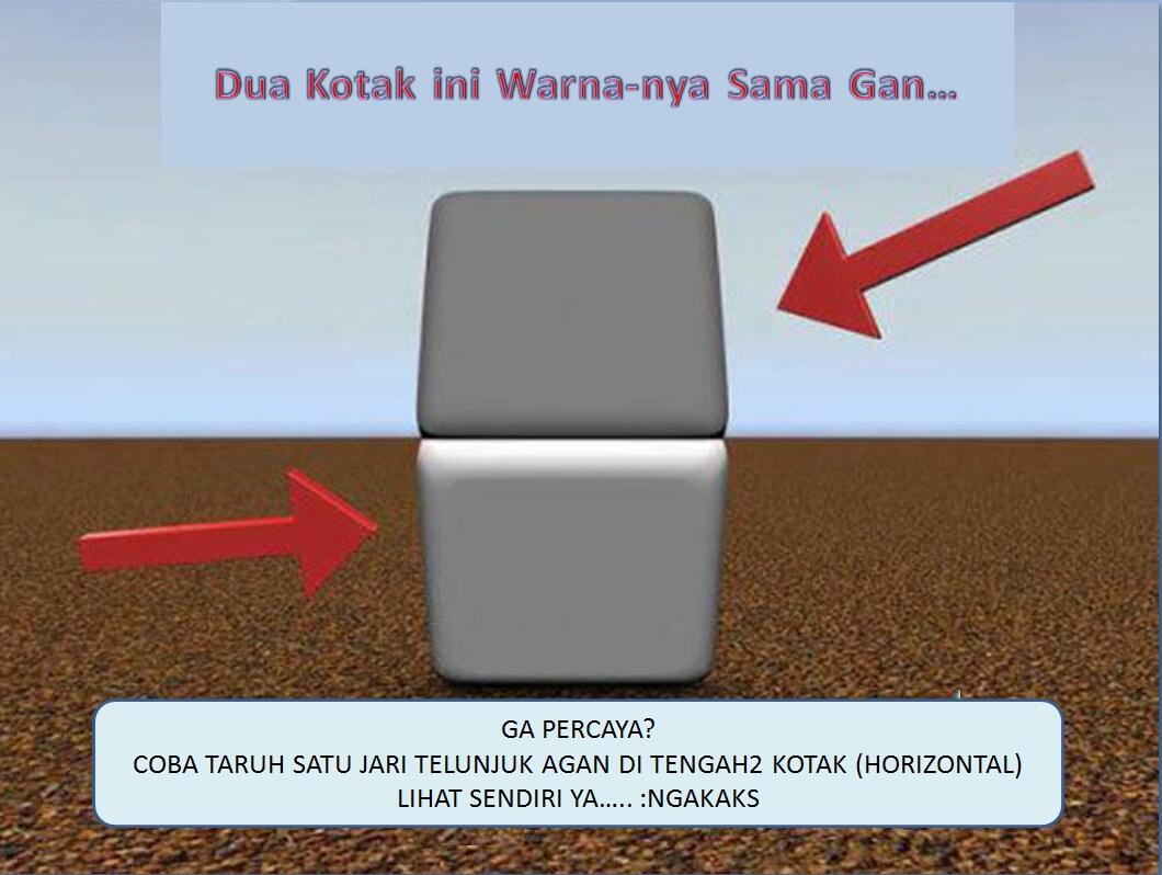 Warnanya beneran sama, test aja sendiri gan