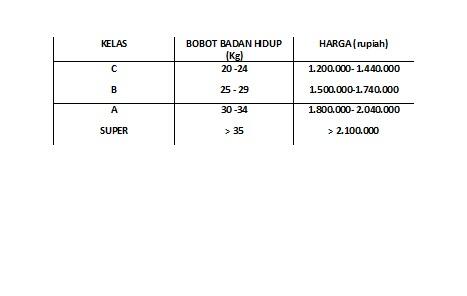 harga domba dan sapi Nurahman Farm fakultas peternkan universitas padjajaran