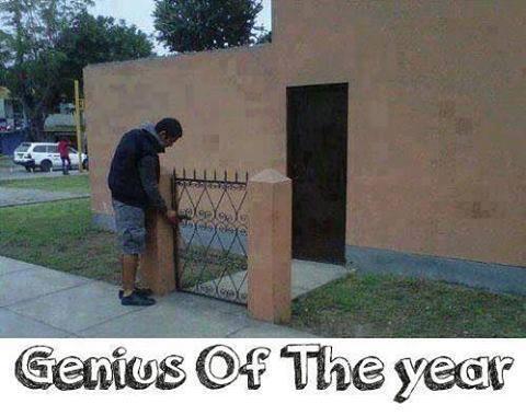 GENIUS OF THE YEAR !