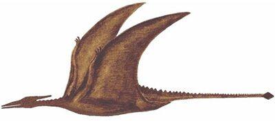6 Dinosaurus terbang yg pernah hidup di bumi