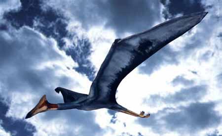 6 Dinosaurus terbang yg pernah hidup di bumi