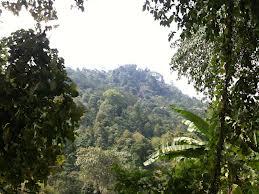 Mengenal 6 Wisata Curug Gendang 