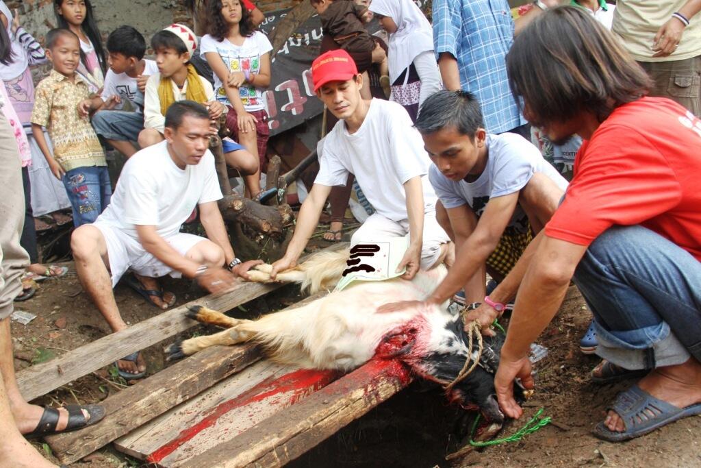 Yuk kita korban kambing atau sapi tahun ini.....