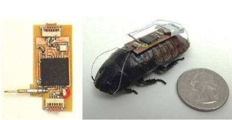 KECOAK HIDUP BISA DIBUAT ROBOT