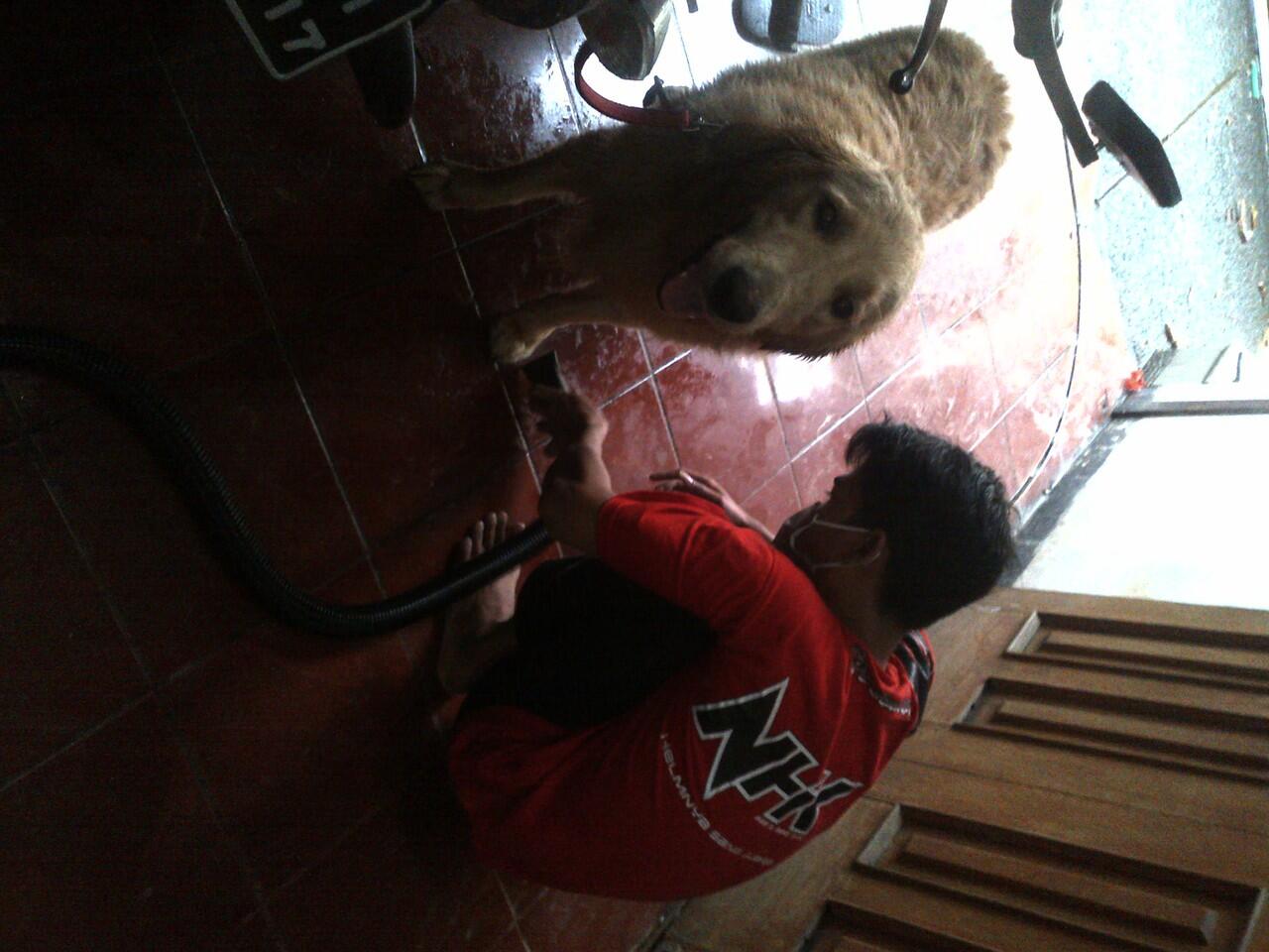 lowongan kerja SD/SMP/SMA