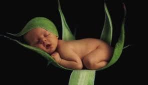 Mengenal sedikit lebih jauh tentang Bayi Prematur
