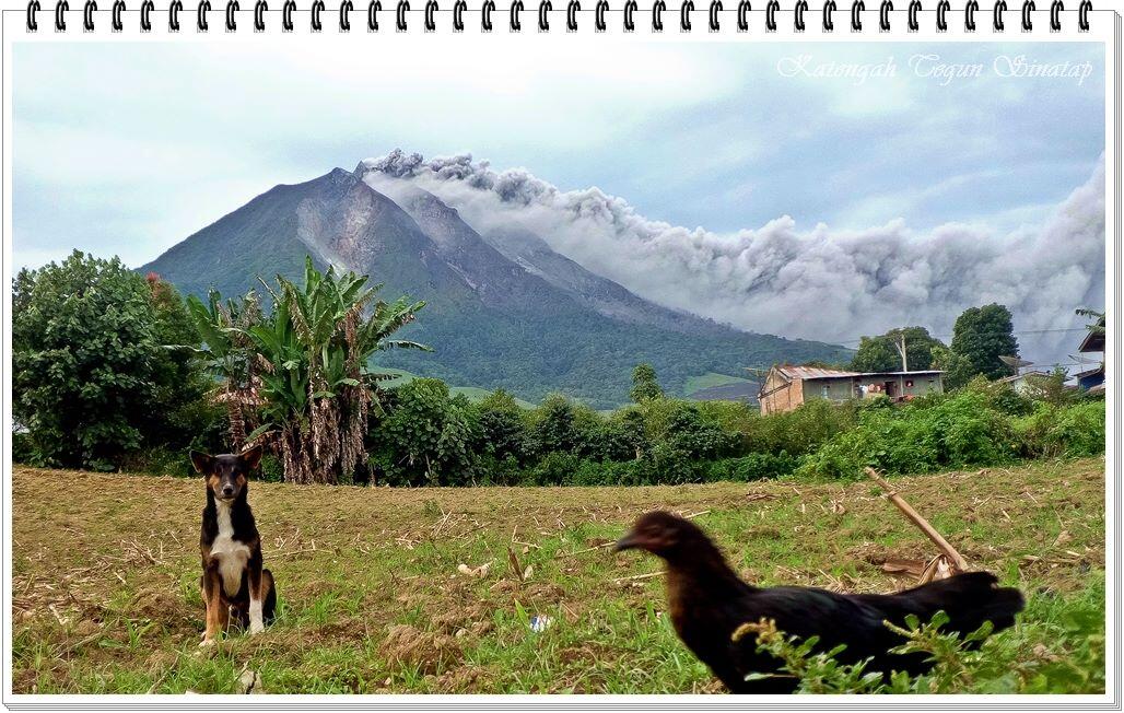 Gunung sinabung Meletus