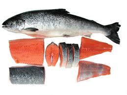 enam jenis ikan yang sebaiknya dihindari