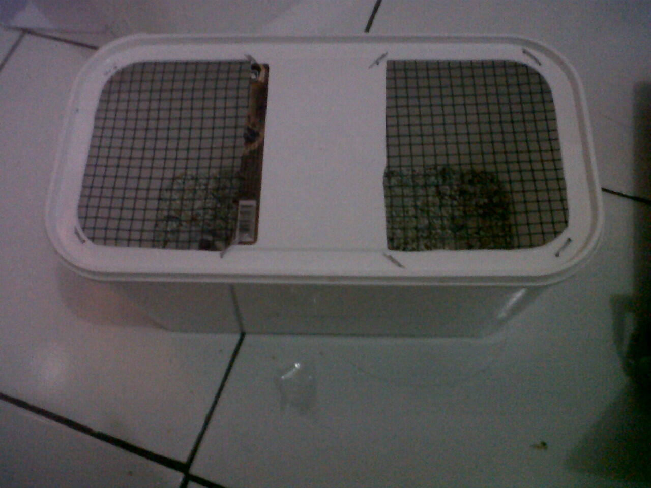 Terima Pemesanan / Modif Box Es Krim kandang hamster,tikus,mencit,gerbil,kura"