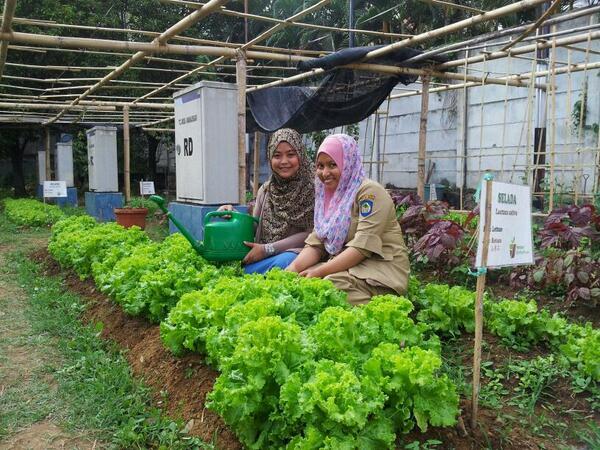 Manfaat Berkebun #Markibun o/