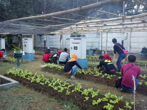 Manfaat Berkebun #Markibun o/