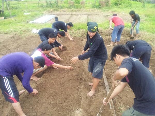 Manfaat Berkebun #Markibun o/