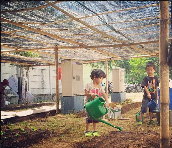 Manfaat Berkebun #Markibun o/