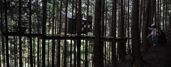 Rumah Terkeren di Seluruh Dunia, Yang Terbuat Dari Alam