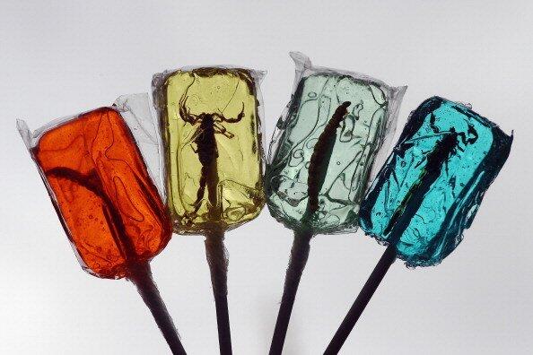 MEREKA DOYAN BANGET MAKAN SERANGGA (MAKANAN EXTREM GAN )