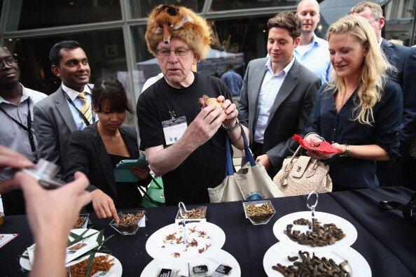 MEREKA DOYAN BANGET MAKAN SERANGGA (MAKANAN EXTREM GAN )