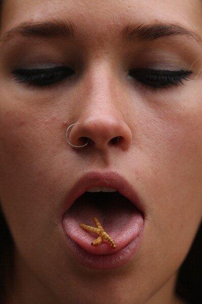 MEREKA DOYAN BANGET MAKAN SERANGGA (MAKANAN EXTREM GAN )