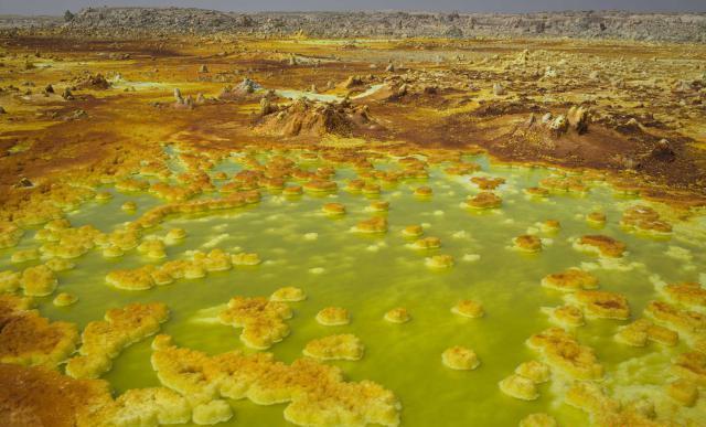 Kisah para pencari garam di tengah panasnya gurun Ethiopia