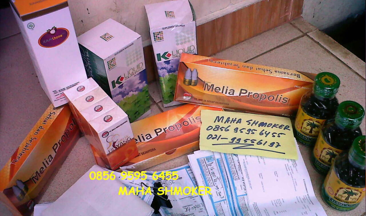 PENAWARAN XAMTHONE PLUS