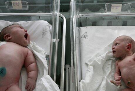 Bayi-bayi Terbesar dari Penjuru Dunia, Asal Indonesia hingga Jerman