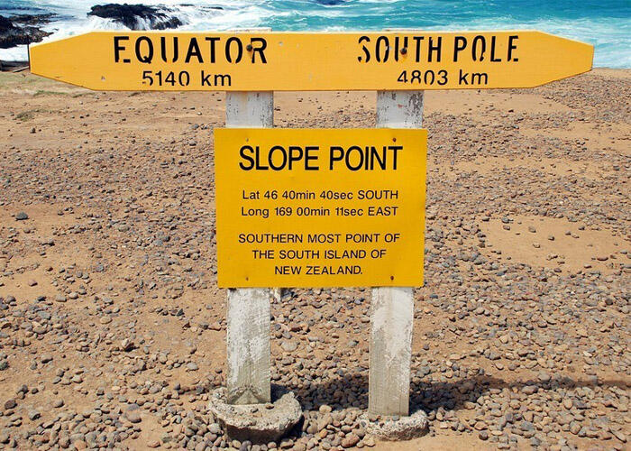 &#91;Fenomena Unik&#93; Menengok Rangkaian Pepohonan Unik di Slope Point Selandia Baru 
