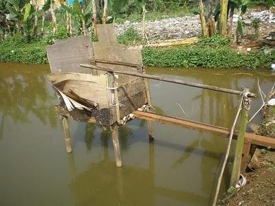Helikopter Organik Yang Tangguh Gan!!