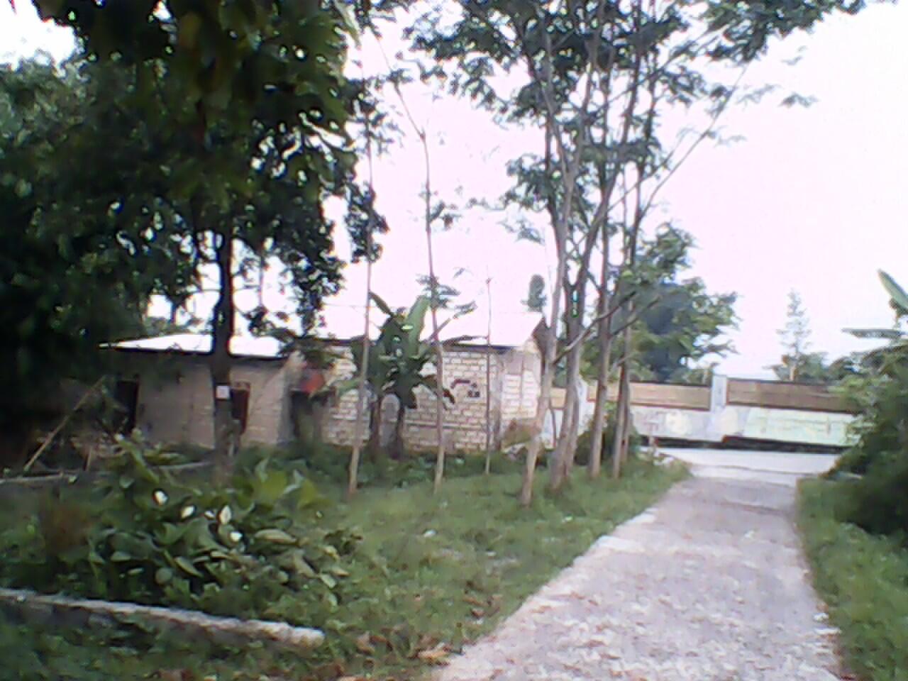 Tanah Murah di Bogor