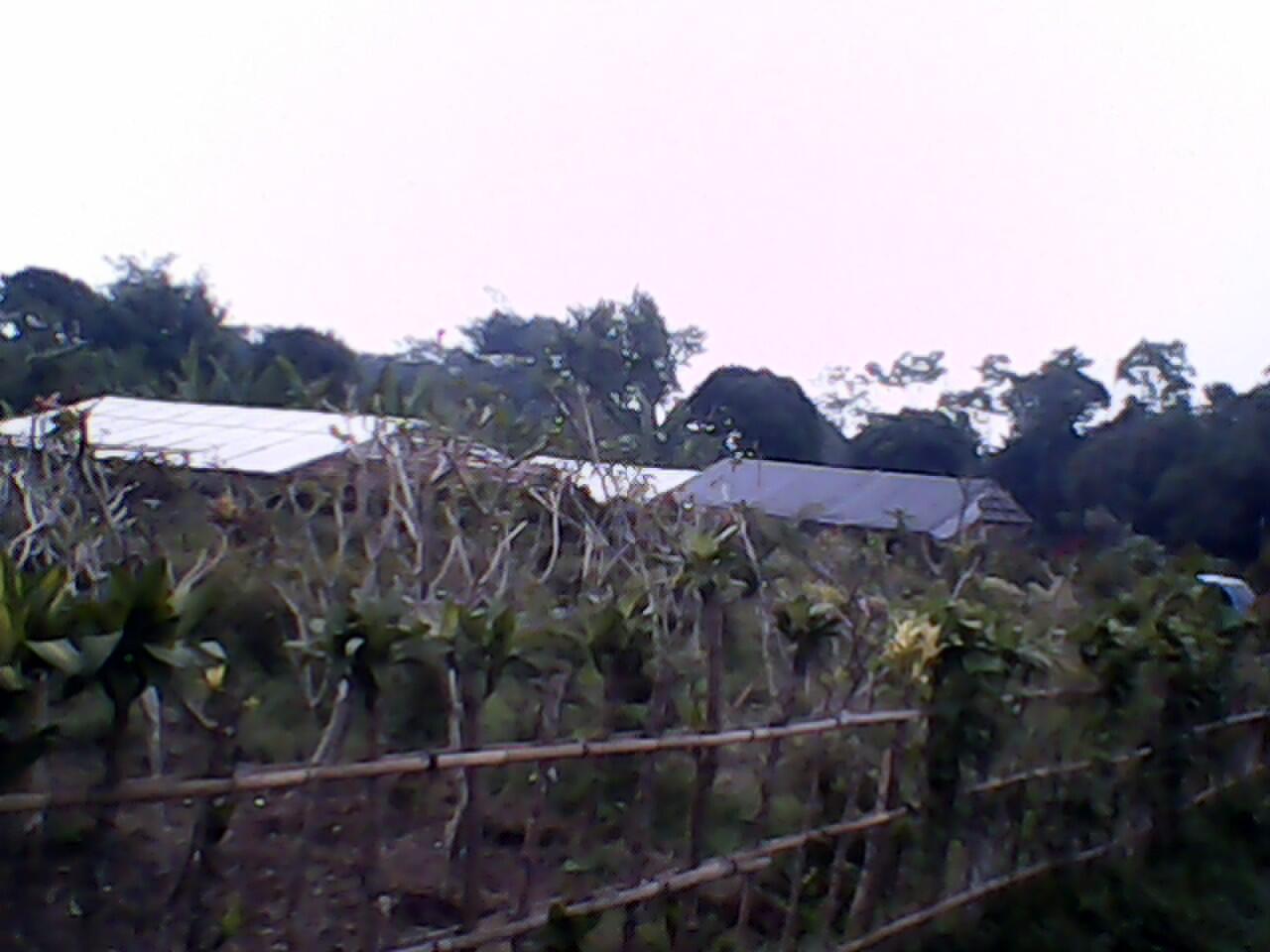 Tanah Murah di Bogor